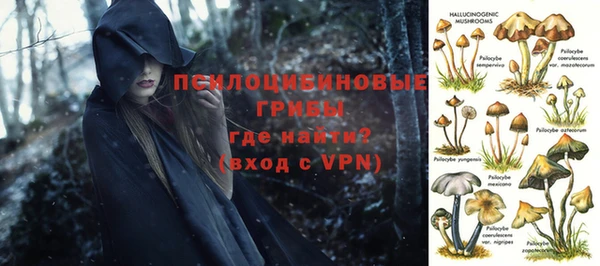 каннабис Пролетарск