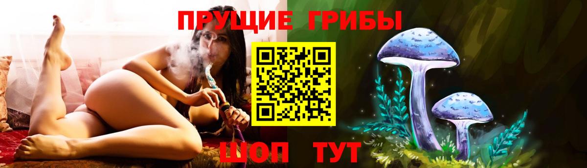 Галлюциногенные грибы мицелий  Галлюциногенные грибы Psilocybe  Вход с VPN  Сарапул 